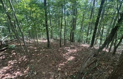 Lot 91 Muslin Drive, Ranger, GA 30734