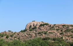 Other, Llano, TX 78643