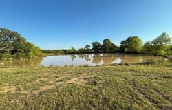 Tract 2 Shady Grove Rd, Wardville, OK 74576