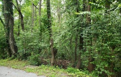 LOTS 1-2 BLACKBIRD WAY, FRONT ROYAL, VA 22630