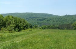 3190 County Highway 22, Walton, NY 13856