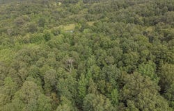 4152 Ponds Tract 6 Road, Maynard, AR 72444