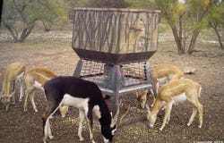 587 Valley Rd, Eldorado, TX 76936