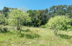 Lot 5 Morris Sheppard Drive, Brownwood, TX 76801