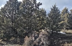 5 Drews Road, Sprague River, OR 97639