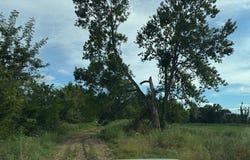 608 W Holt lot: 0, Lincoln, AR 72744