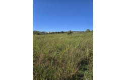 County Road 455, Birch Tree, MO 65438