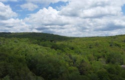 Snake Creek Road, Hancock, NY 13783