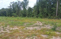 Old Highway 43, Mount Vernon, AL 36560