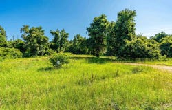 652 CENTER POINT Road, Gurdon, AR 71743