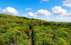 5945 Lodgepole Road, Harbor Springs, MI 49740