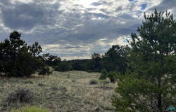 Warpath Rd, Quemado, NM 87829