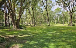 4502 SW 63RD BOULEVARD, GAINESVILLE, FL 32608