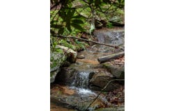 Wheel Team Trail, McGrady, NC 28649
