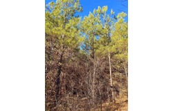 Norsworthy Road, Strong, AR 71765