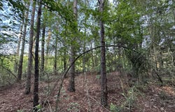 N Lot 1 River Road, Summit, MS 39666