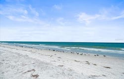 18218 SUNSET BOULEVARD, ST PETERSBURG, FL 33708