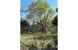 30 County Road 4515, Trenton, TX 75490