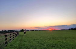 2754 Coleman Springs Path, Georgetown, KY 40324