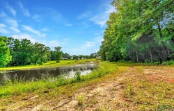 14384 N County Road 2125, Henderson, TX 75652