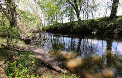 VL 8 1/2 Mile Rd, Burlington, MI 49029