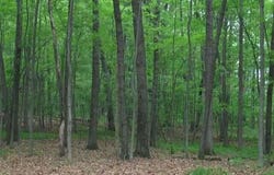 41 Sanctuary Drive, Jackson, MI 49201