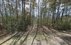 11760 Long Tree Lane, TX 77303