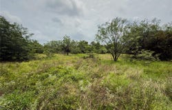 Lot 1 County Road 173, Marlin, TX 76661