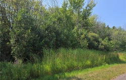 0 Carmen Road, Somerset, NY 14012