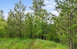 Lot 17 Green Mountain Court, Spearfish, SD 57783