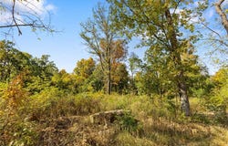Lot 28 Peaceful  PL, Harrison, AR 72601
