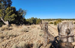 Ponderosa Ranches Trail Road, Pie Town, NM 87827