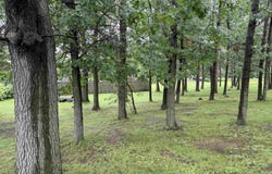 5415 NORMANDY STREET, Weston, WI 54476