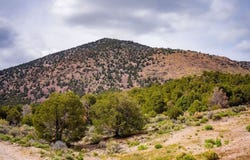 1090 Cherry Creek Road, Ely, NV 89301