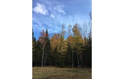 63 Averill Hill Road, Dixfield, ME 04224