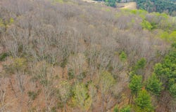 Cox Store Road, Floyd, VA 24091
