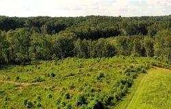 Lot 7 Thayer Road, Trinity, NC 27370