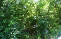 Chesapeake Drive, Cherokee Village, AR 72529