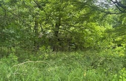 18905 Sycamore Road, Mount Vernon, OH 43050