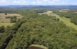 Polk Road 87, Mena, AR 71953