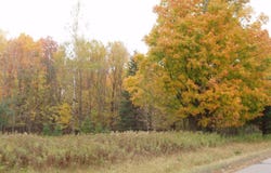 4th Add. MARGARET LN, Park Falls, WI 54552