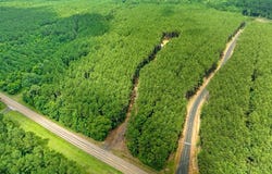 1620 FM 1751, San Augustine, TX 75972