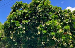 2296 Waiomao Road, Honolulu, HI 96816