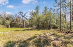 7700 Iron Rush Road, Wilmer, AL 36587
