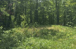 85395 Longwood Dr, Bayfield, WI 54814
