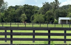 NW 95TH AVE Road, OCALA, FL 34482