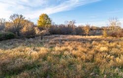 13020 Birch Rd, Okmulgee, OK 74447
