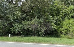 6552 Shoal Creek, Clermont, GA 30527