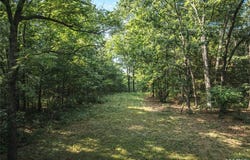 0 County Road 5380, Rolla, MO 65401