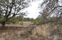 Old Well lot: 216 And 217, Candy Kitchen, NM 87357